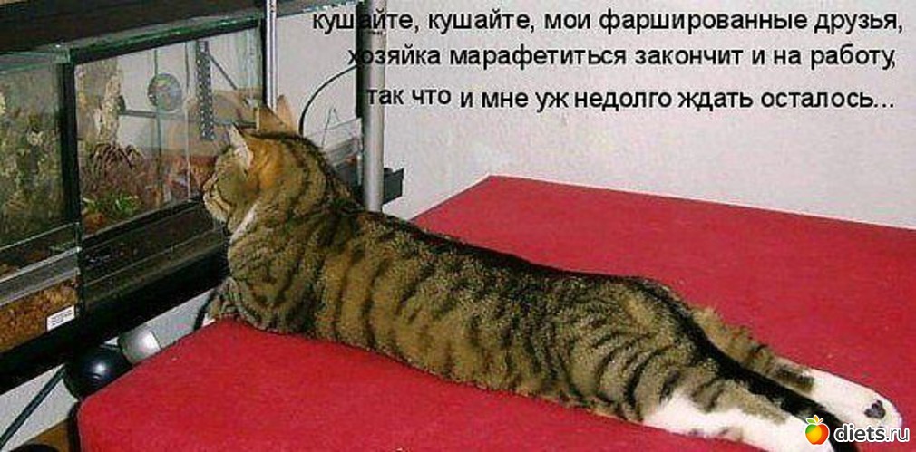 16 ����: ����3