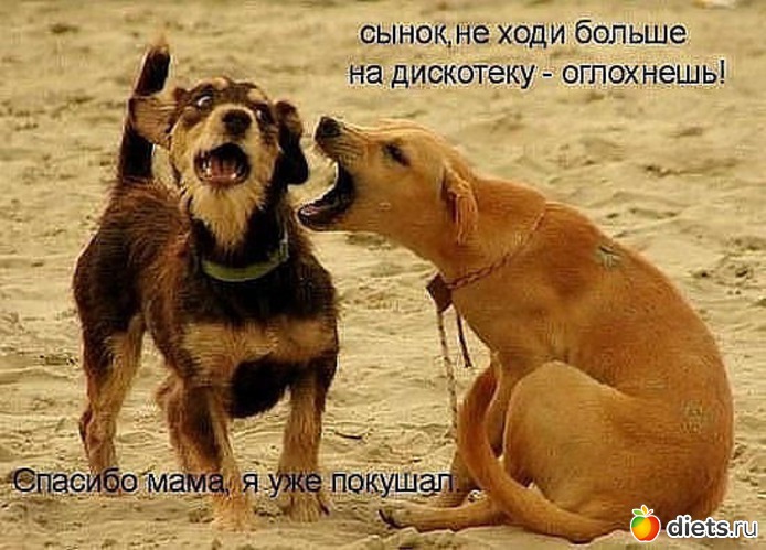 19 ����: ����3