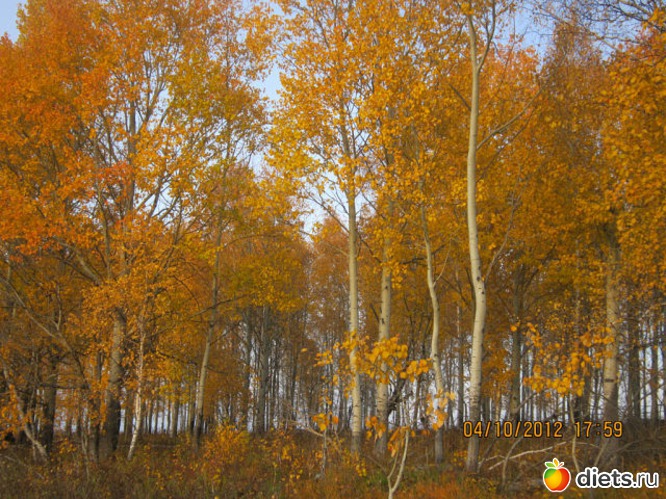 ������� ���, ������: ������� ����� ���� ����������!