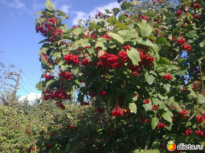 ������, ������: ������� ����� ���� ����������!