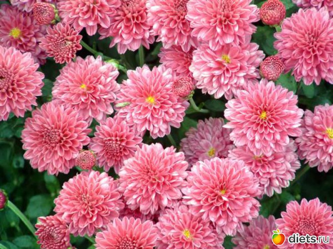 ������� ����������, ������: ������� ����� ���� ����������!