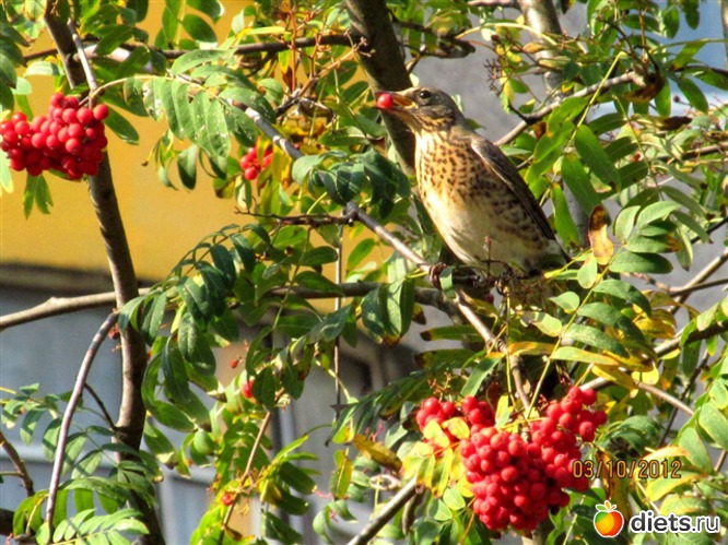 ��������� ������� ������, ������: ������� ����� ���� ����������!