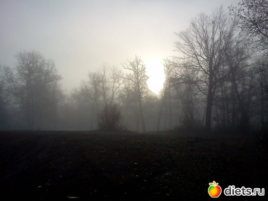 1 ����: ���, � ������� � ����� �� �����