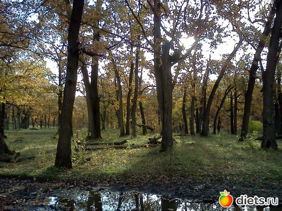 2 ����: ���, � ������� � ����� �� �����