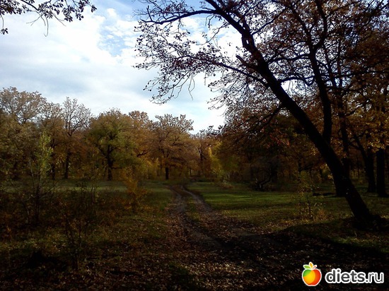 3 ����: ���, � ������� � ����� �� �����