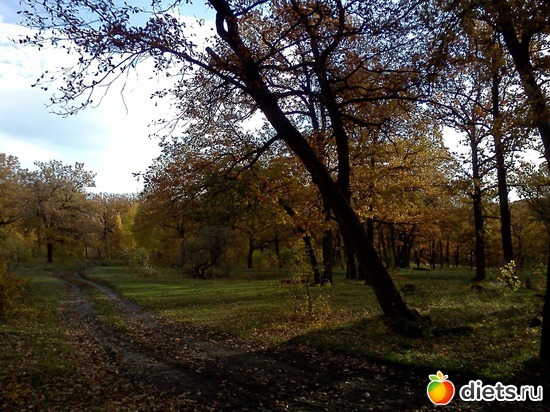 4 ����: ���, � ������� � ����� �� �����