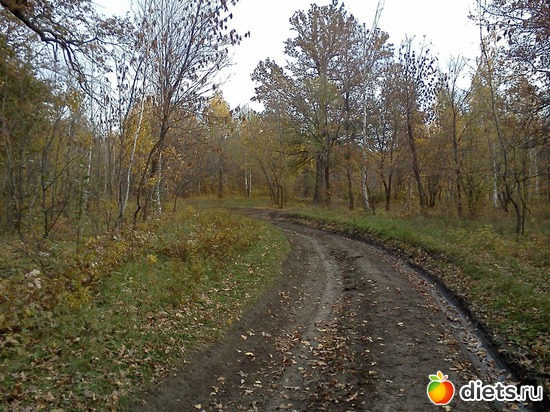 5 ����: ���, � ������� � ����� �� �����