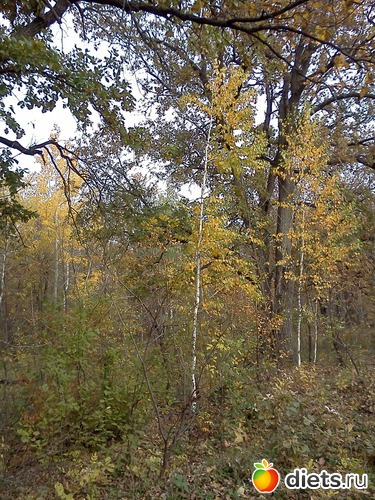 6 ����: ���, � ������� � ����� �� �����