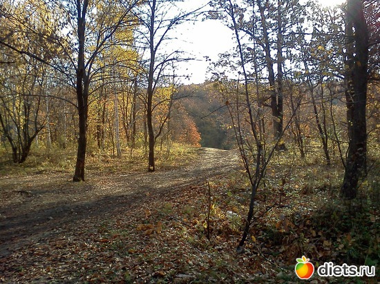 7 ����: ���, � ������� � ����� �� �����