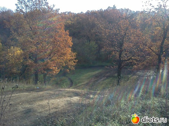 8 ����: ���, � ������� � ����� �� �����