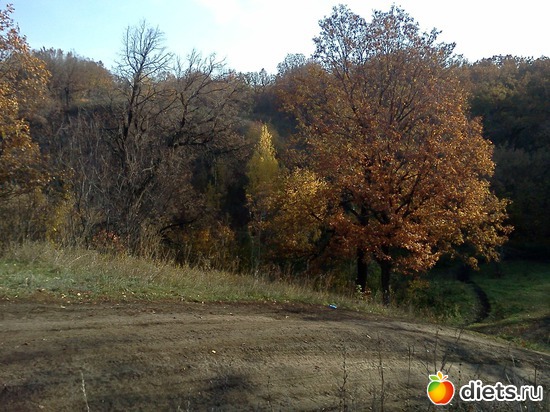 9 ����: ���, � ������� � ����� �� �����