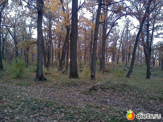 10 ����: ���, � ������� � ����� �� �����