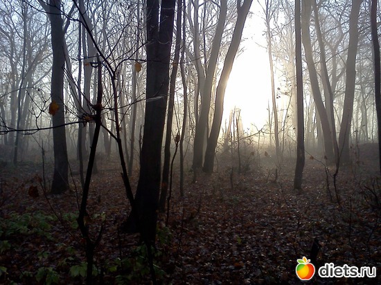 11 ����: ���, � ������� � ����� �� �����