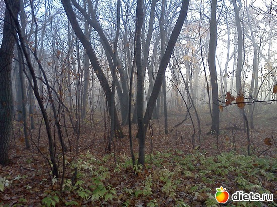 12 ����: ���, � ������� � ����� �� �����