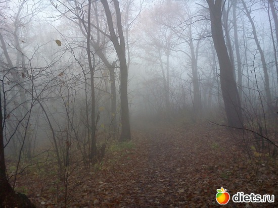 13 ����: ���, � ������� � ����� �� �����