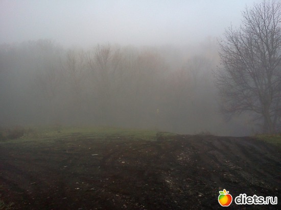 14 ����: ���, � ������� � ����� �� �����