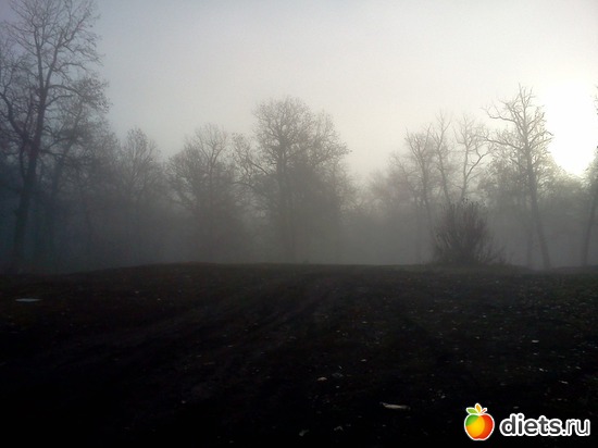 15 ����: ���, � ������� � ����� �� �����