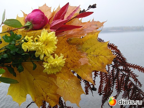 ����� ����������