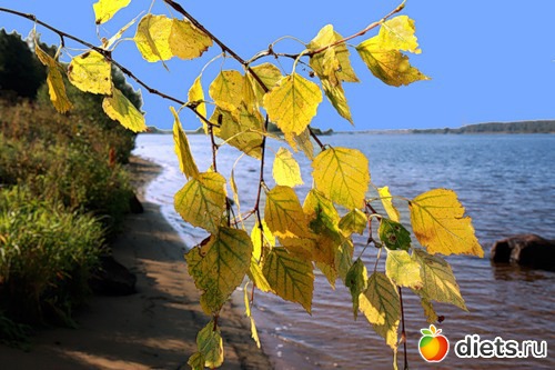 ������� ����� ���� ����������!