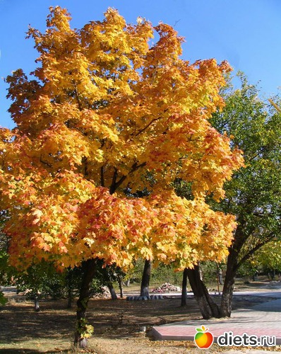 ����, ������: ������� ����� ���� ����������!