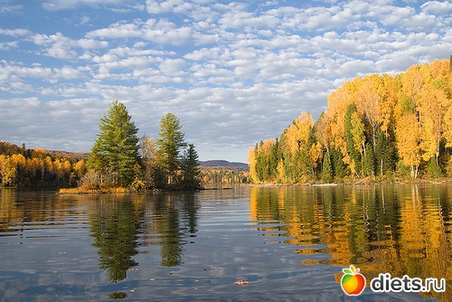 ��.��������� ������