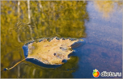 ���� �� ��� �������...........