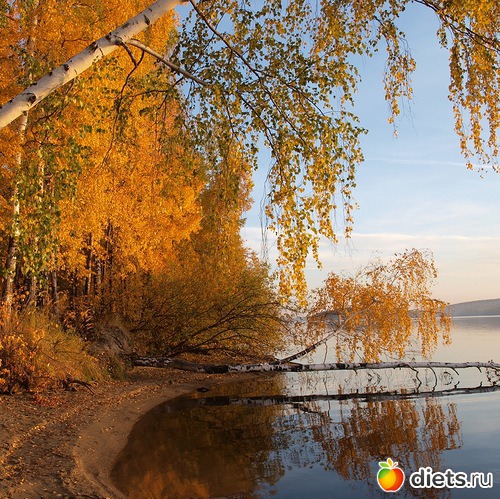 ����� ������ ������� ��� ����� ���� ������............