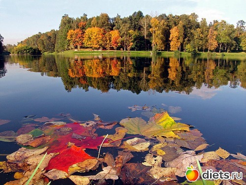 ������ ��� ����...