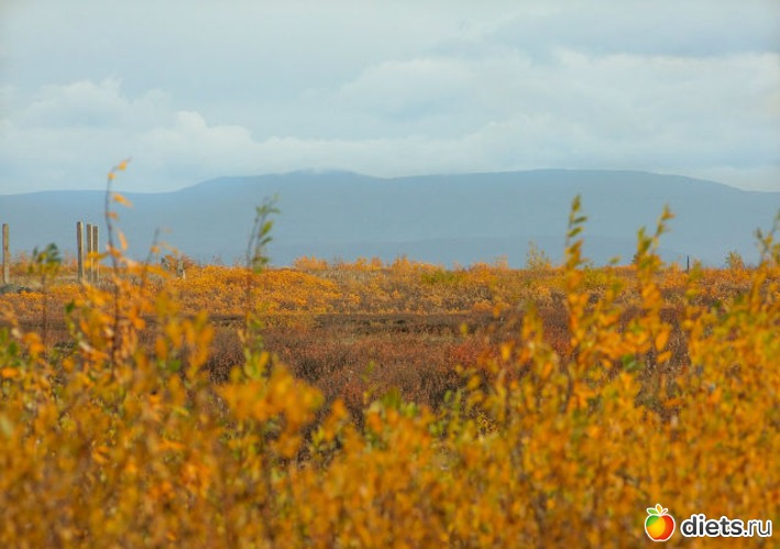 ������������ ������ ������, ������: ������� ����� ���� ����������!