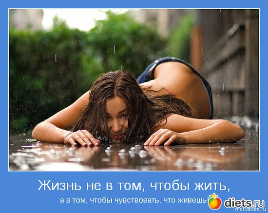 3 ����: ���������,��������,�������