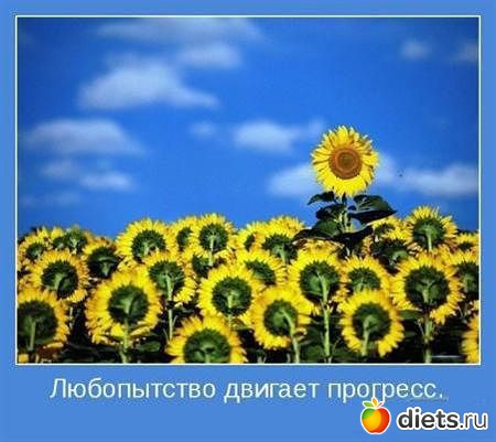 Позитивно,жизненно,душевно