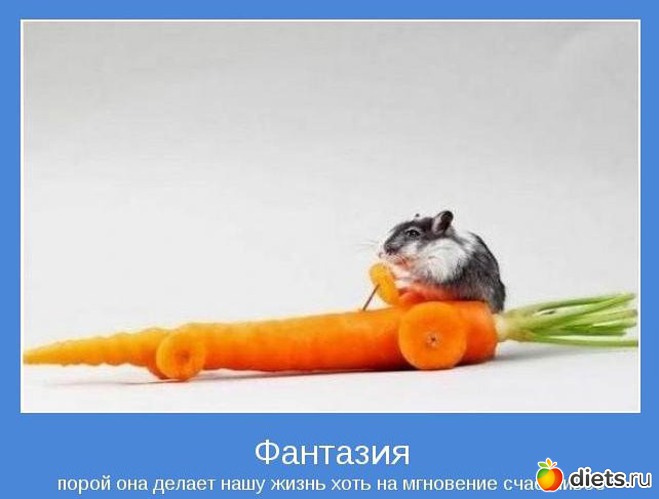 17 фото: Позитивно,жизненно,душевно