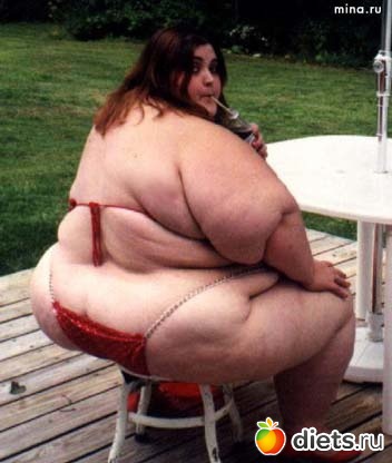 Какие милые толстушки