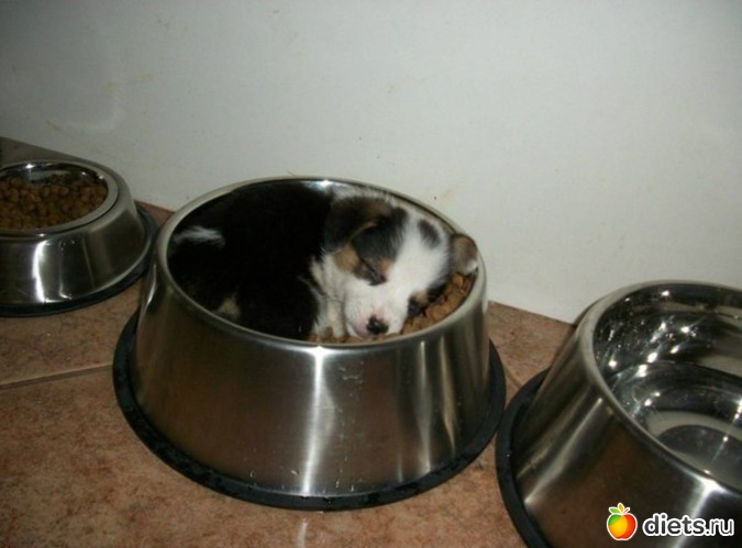 9 ����: ����� �����