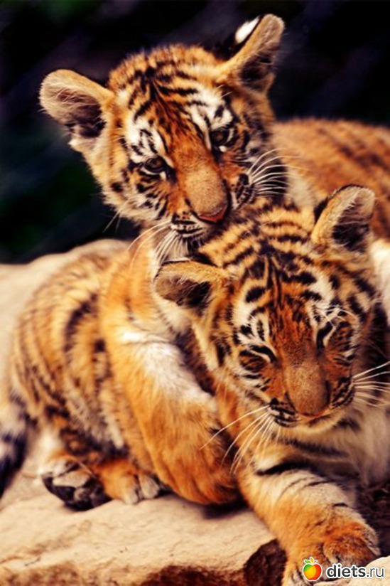 47 ����: ����� 1