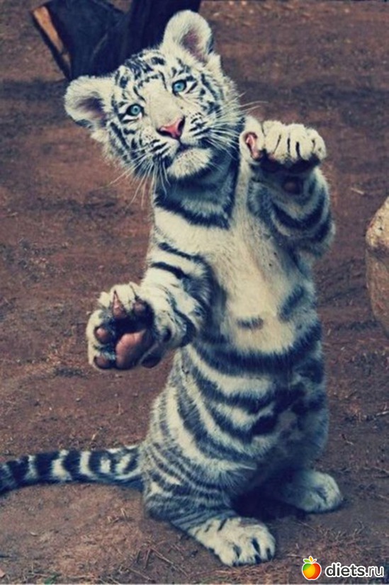 48 ����: ����� 1