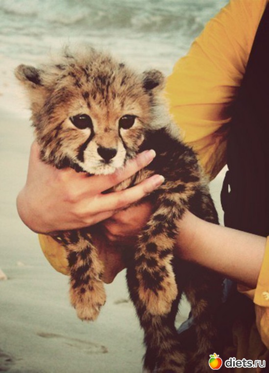 50 ����: ����� 1