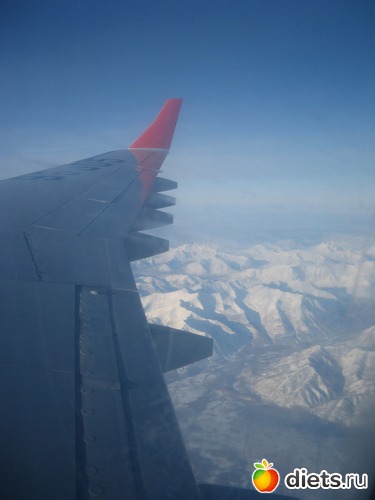 ��� ������ �������� ��������, ������: ������� �����