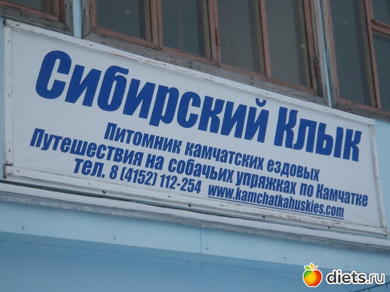 40 ����: ������� �����