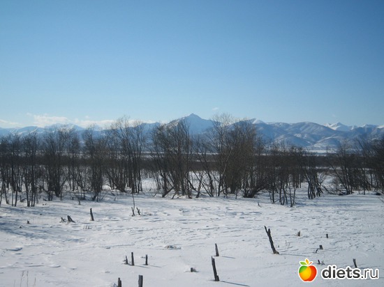 42 ����: ������� �����