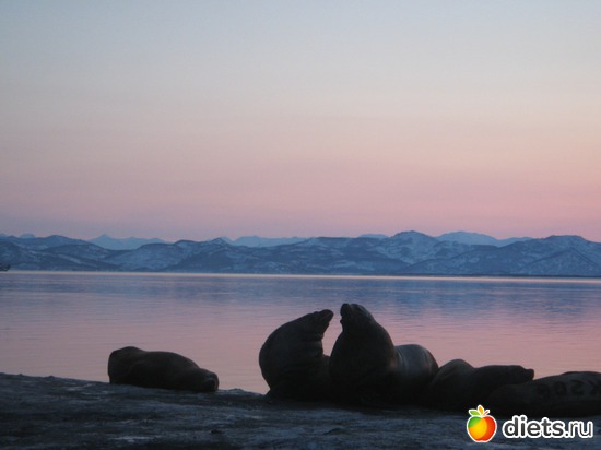 43 ����: ������� �����