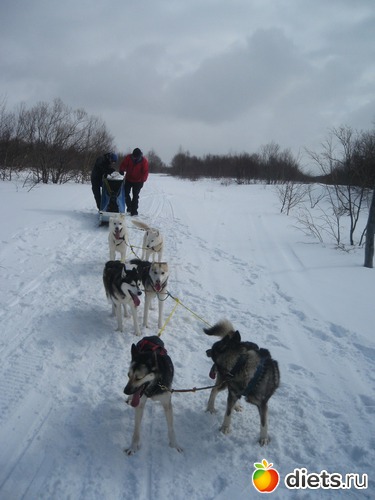 44 ����: ������� �����