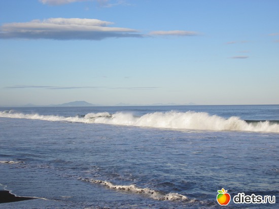 46 ����: ������� �����