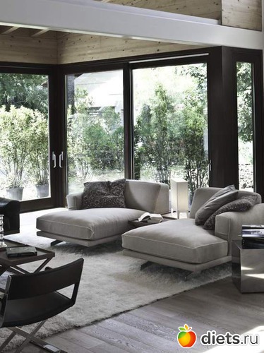 238 ����: ���������