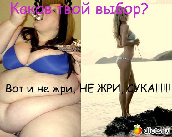 17 ����: ���������