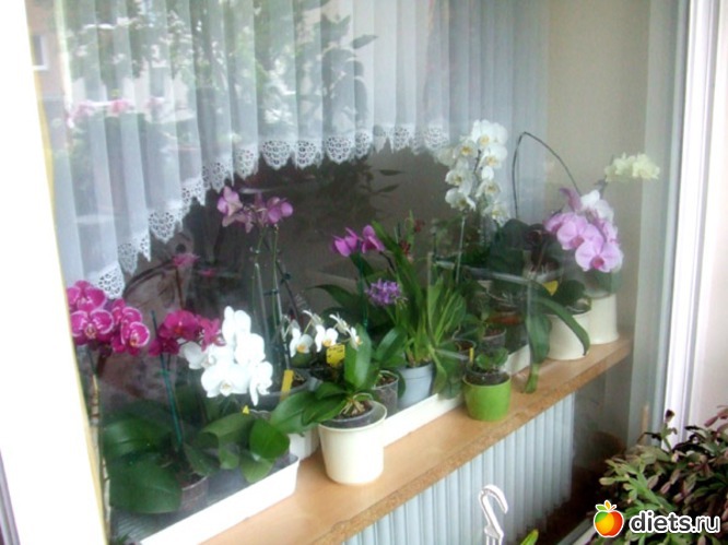 13 фото: scheiße