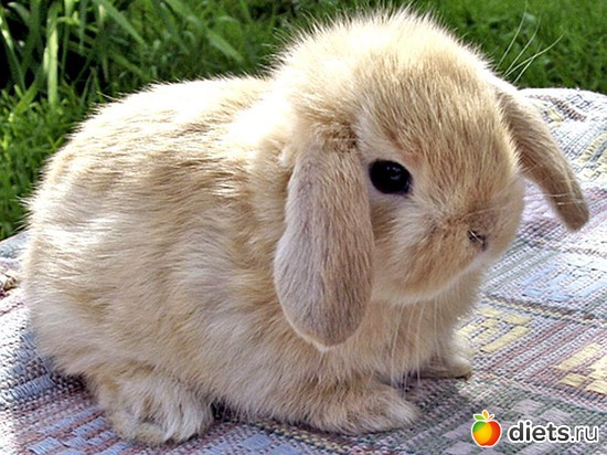 2 ����: �������� ��� 20