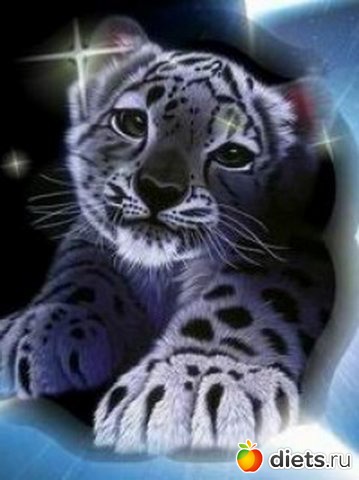 ��� ����