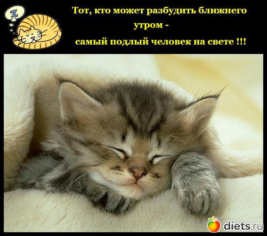 5 ����: �������� ��� 20