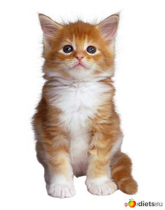 7 ����: �������� ��� 20